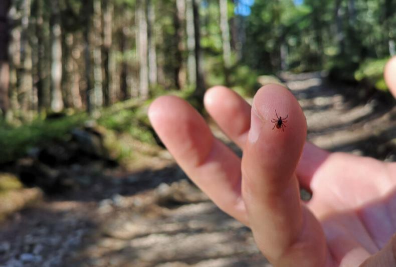 KADA GERIAUSIA SKIEPYTIS NUO ERKINIO ENCEFALITO?