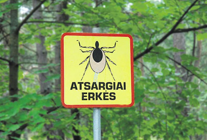 PABUSK ANKSČIAU UŽ ERKES!!!
